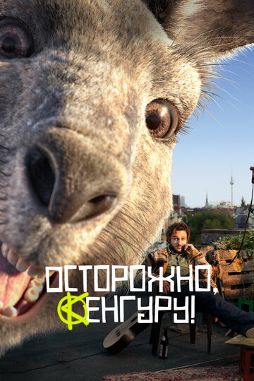 Хроники кенгуру