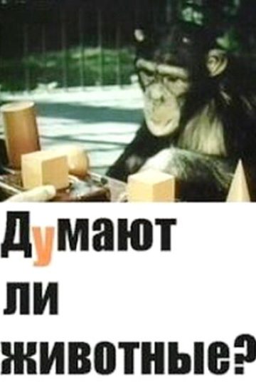 Думают ли животные?