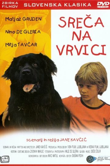 Счастье на поводке